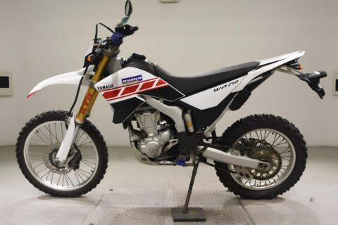 YAMAHA WR250R