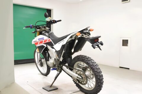 YAMAHA WR250R
