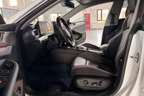 VOLKSWAGEN Lamando L