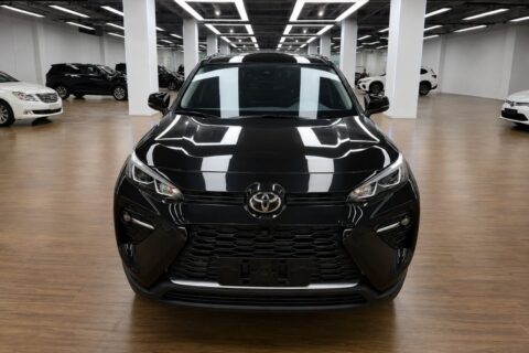 TOYOTA WILDLANDER