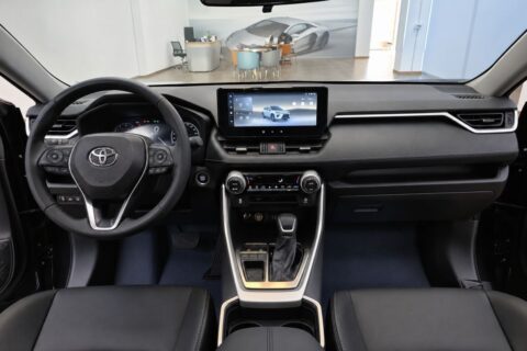 TOYOTA WILDLANDER