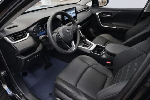 TOYOTA WILDLANDER
