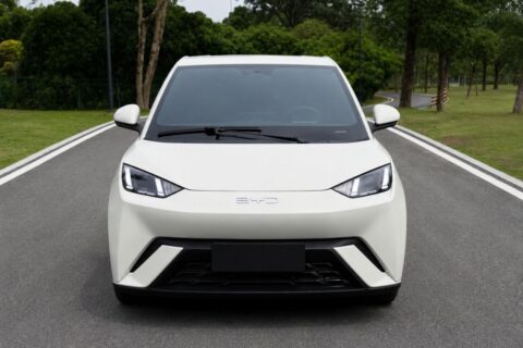 BYD SEAGULL