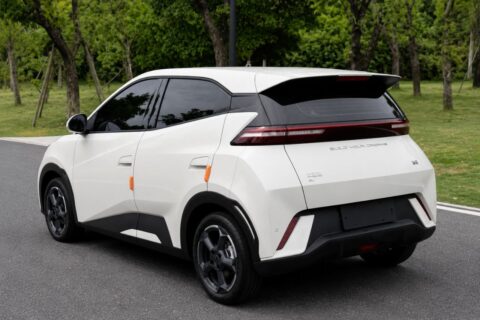 BYD SEAGULL